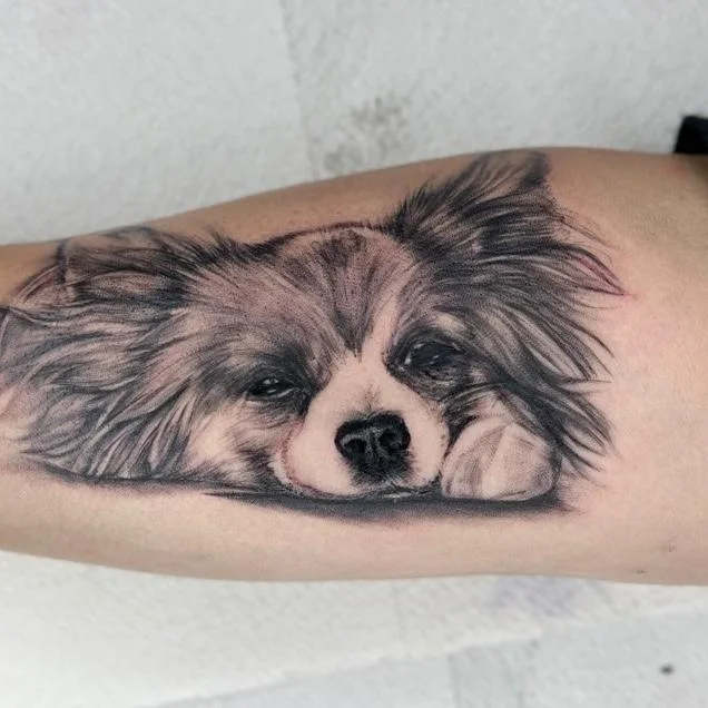 Tattoo Pflege Tattoo